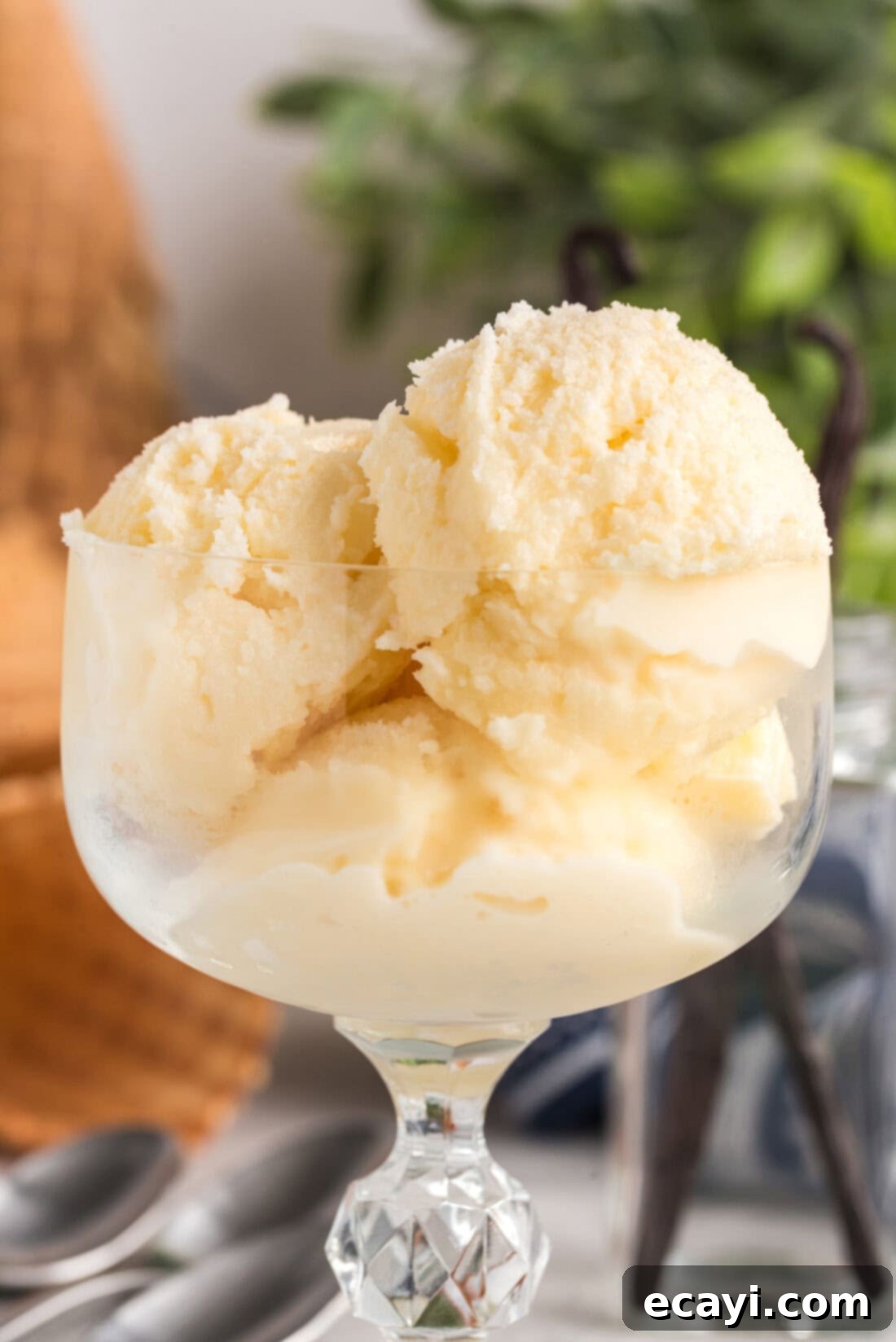 The Ultimate Homemade Vanilla Ice Cream 13 Close up photo of Homemade Vanilla Ice Cream in a sundae dish