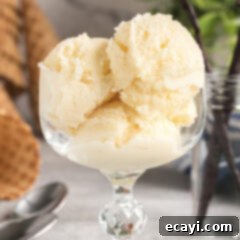 The Ultimate Homemade Vanilla Ice Cream 14 Homemade Vanilla Ice Cream in a sundae dish