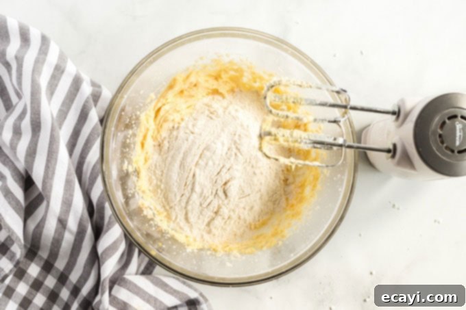 Fiesta Cookies 4 flour and cookie dough in bowl