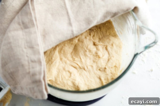 Rustic Italian Loaf 8 bread dough in bowl with kitchen towel