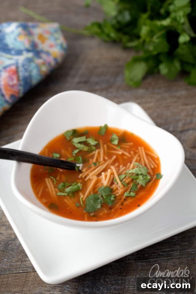 Mexican Sopa de Fideos 2 Mexican Noodle Soup - Sopa de Fideos