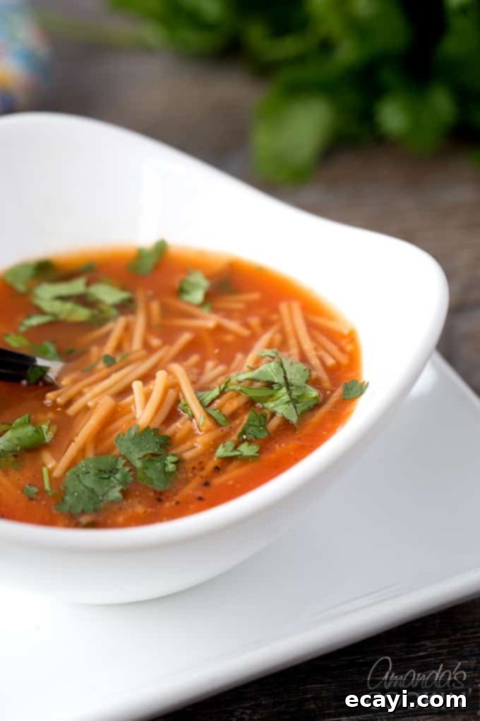 Mexican noodle soup my friends! Super delicious, and just like the appetizer soup you are served at authentic Mexican restaurants! Delicious Sopa de Fideos classic Mexican Noodle Soup