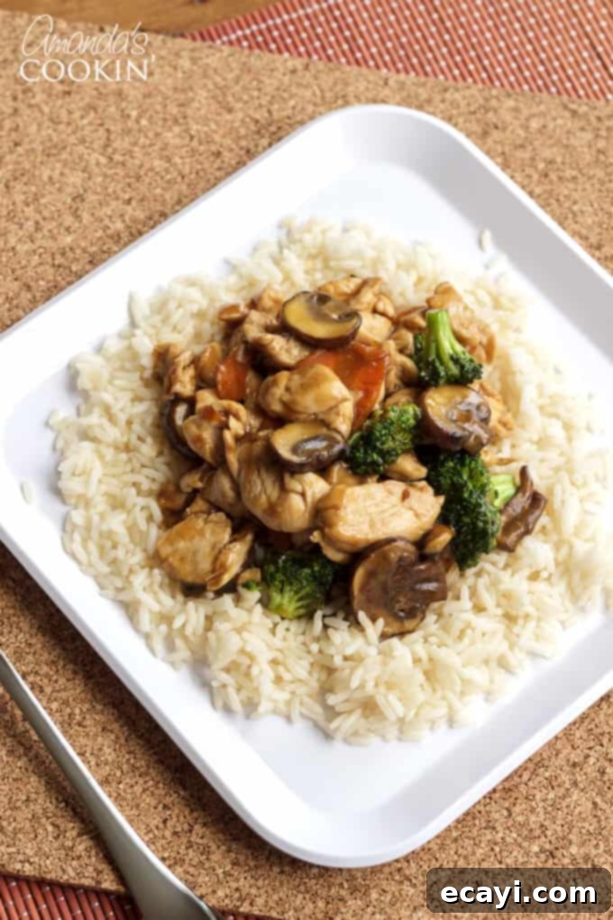 Silky Chicken and Mushroom Stir-Fry 2 A plate of Moo goo gai pan ready to be served