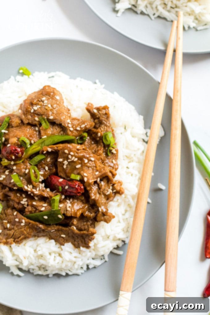Khan's Caramel Beef 2 plate of beef stir fry with rice and green onions, showcasing tender beef and a rich sauce