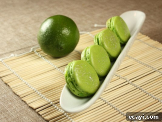 Lime & Basil Macarons, inspired by Pierre Hermé Lime Basil Macarons, inspired by Pierre Hermé