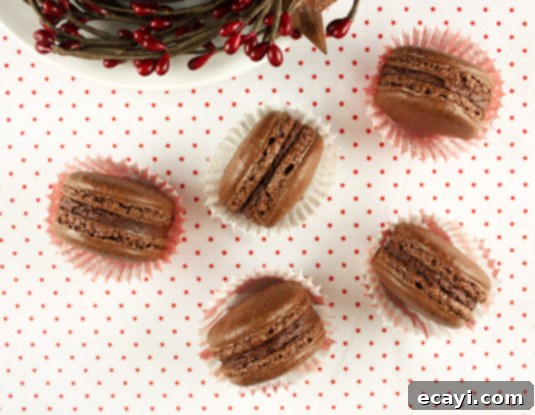 Chocolate & Chestnut Macarons Chocolate & Chestnut Macarons