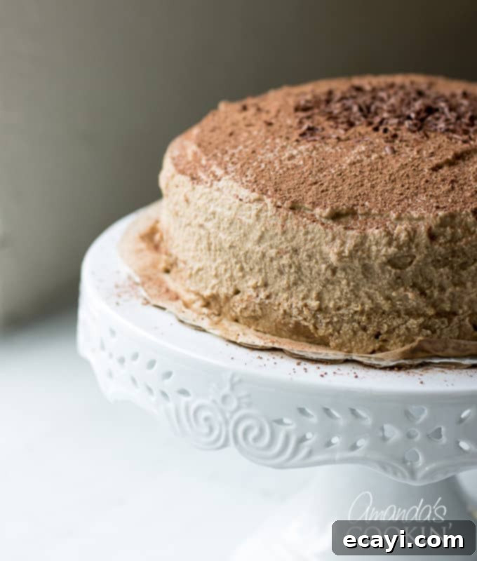 Decadent Tiramisu 10 A tiramisu cake beautifully topped with chocolate shavings, ready to be presented.