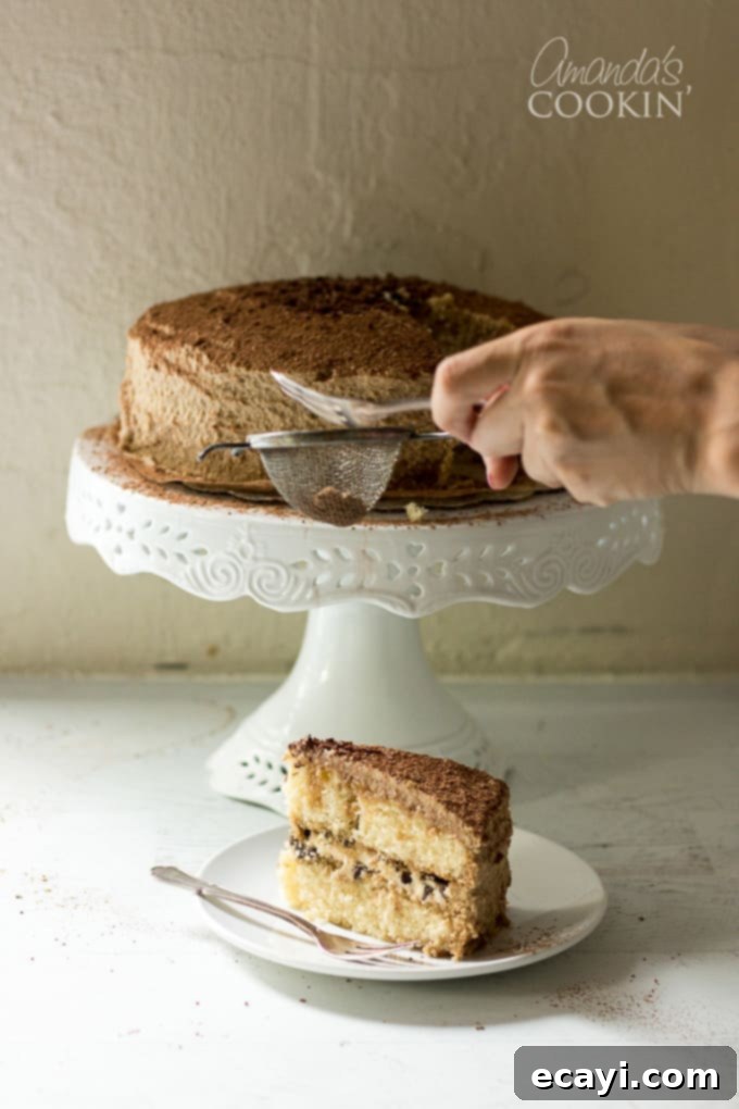 Decadent Tiramisu 11 A pristine slice of Tiramisu Cake on a plate, emphasizing its light texture and perfect layering.