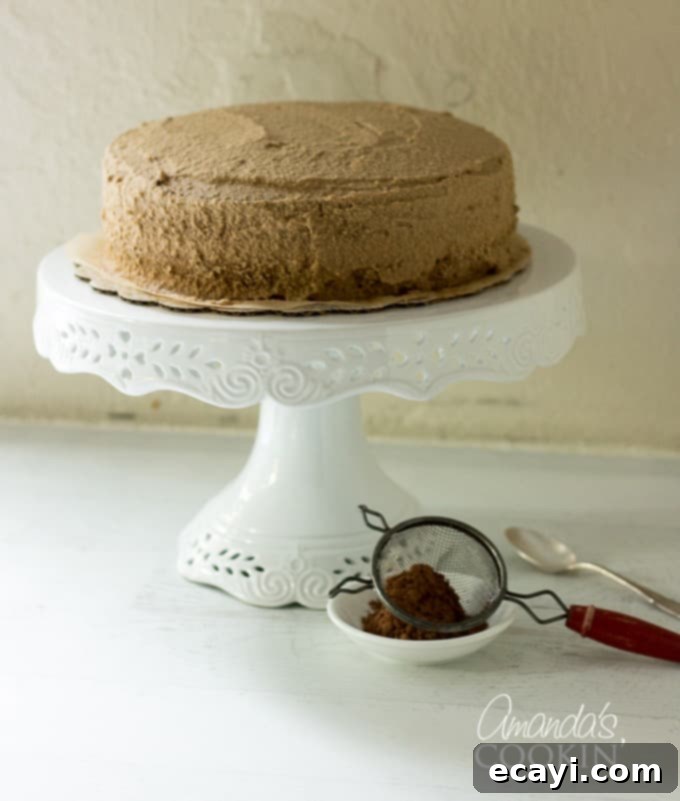 Decadent Tiramisu 12 A fine mesh sieve used for dusting cocoa powder on a tiramisu cake, next to the finished dessert.