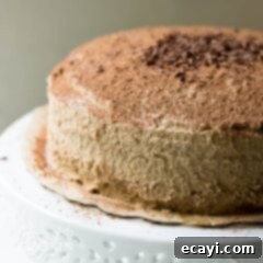 Decadent Tiramisu 14 tiramisu cake