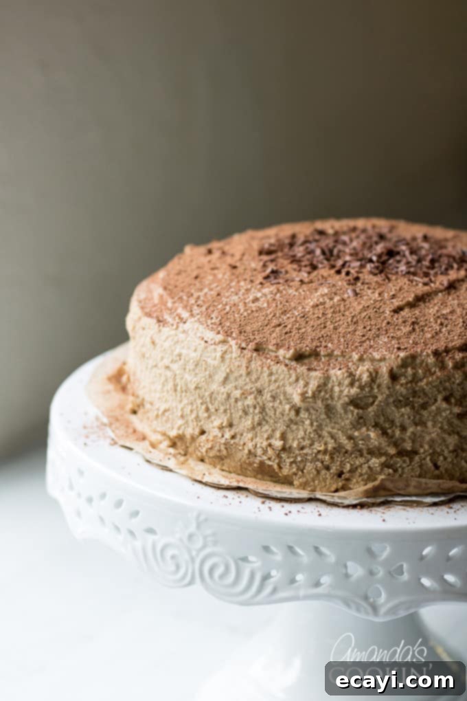 Tiramisu dessert in a layered Tiramisu cake. Indulge in espresso infused cake layers, mascarpone cheese filling, and a decadent coffee flavored icing. #tiramisucake #tiramisudesserts #partycake #cakerecipes #tiramisu #mascarpone #cocoa #amaretto #espresso #espressodesserts A stunning whole homemade Tiramisu cake, frosted and dusted with cocoa, ready to be sliced and served.