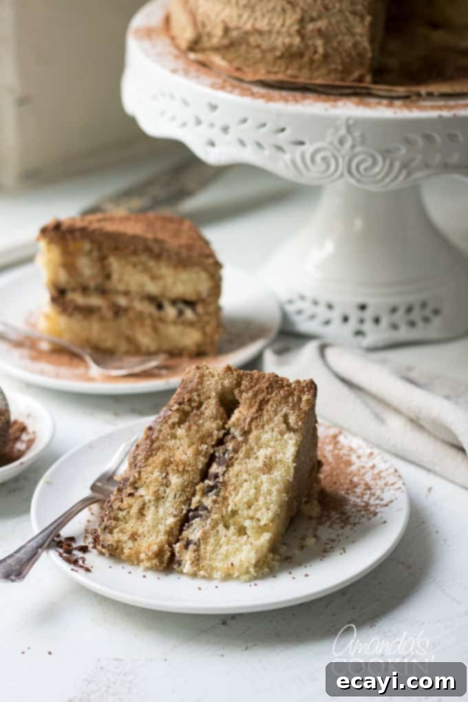 Tiramisu dessert in a layered Tiramisu cake. Indulge in espresso infused cake layers, mascarpone cheese filling, and a decadent coffee flavored icing. #tiramisucake #tiramisudesserts #partycake #cakerecipes #tiramisu #mascarpone #cocoa #amaretto #espresso #espressodesserts Another enticing view of a slice of tiramisu cake, showcasing its delicate layers and inviting texture.