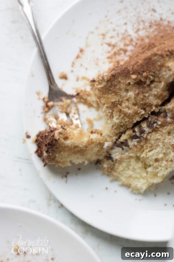 Tiramisu dessert in a layered Tiramisu cake. Indulge in espresso infused cake layers, mascarpone cheese filling, and a decadent coffee flavored icing. #tiramisucake #tiramisudesserts #partycake #cakerecipes #tiramisu #mascarpone #cocoa #amaretto #espresso #espressodesserts A perfectly plated slice of Tiramisu Cake, showing the beautiful layers and a dusting of cocoa, ready to be enjoyed.