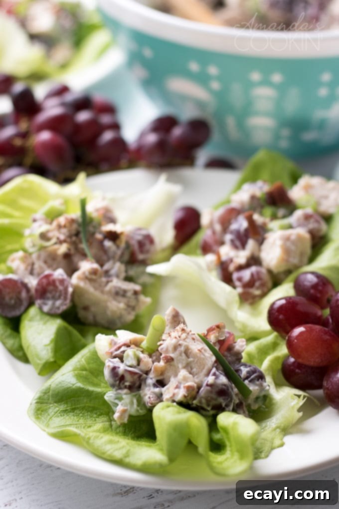 Chicken salad with grapes on a crisp lettuce bed for a refreshing meal. Portion of chicken salad with grapes served on a crisp bed of lettuce, ideal for a light meal