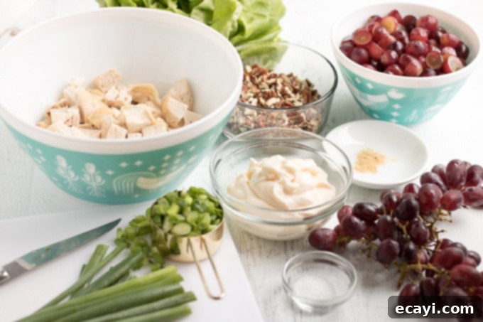 Key ingredients for an amazing chicken salad with grapes. Fresh ingredients for chicken salad with grapes laid out: cooked chicken, halved red grapes, sliced celery, green onions, and mayonnaise