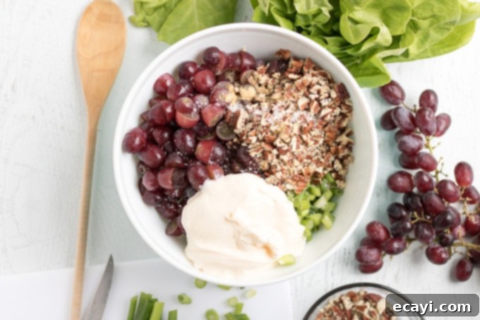 Mixing the creamy dressing base for chicken salad. Mayonnaise, ginger, and salt being combined in a large mixing bowl for the chicken salad dressing