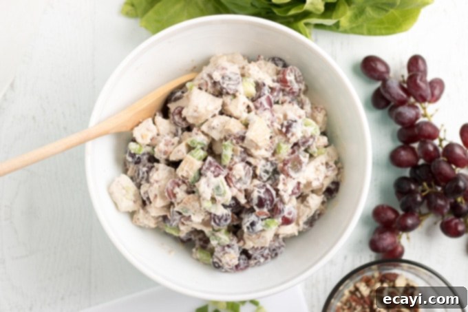 Perfectly mixed chicken salad with grapes, ready to chill. All ingredients, including cooked chicken, grapes, celery, green onion, and pecans, mixed thoroughly in a bowl for chicken salad