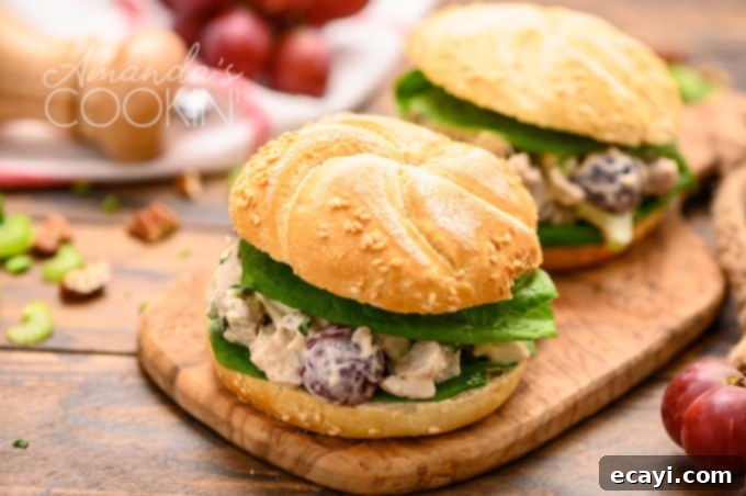 Chicken salad with grapes served as a delicious sandwich. Classic chicken salad with grapes served in a sandwich bun, garnished with fresh lettuce