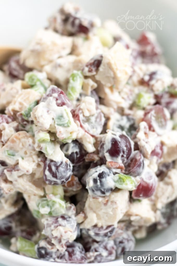 Detailed close-up of fresh and creamy chicken salad with grapes. Close-up view of chicken salad with grapes, showcasing the vibrant colors and creamy texture