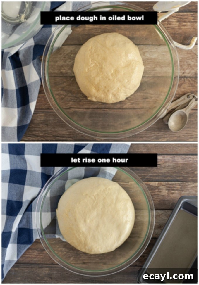 Amish Farmhouse White Loaf 5 Well-oiled bread dough resting in a bowl, covered with a towel for its first rise.