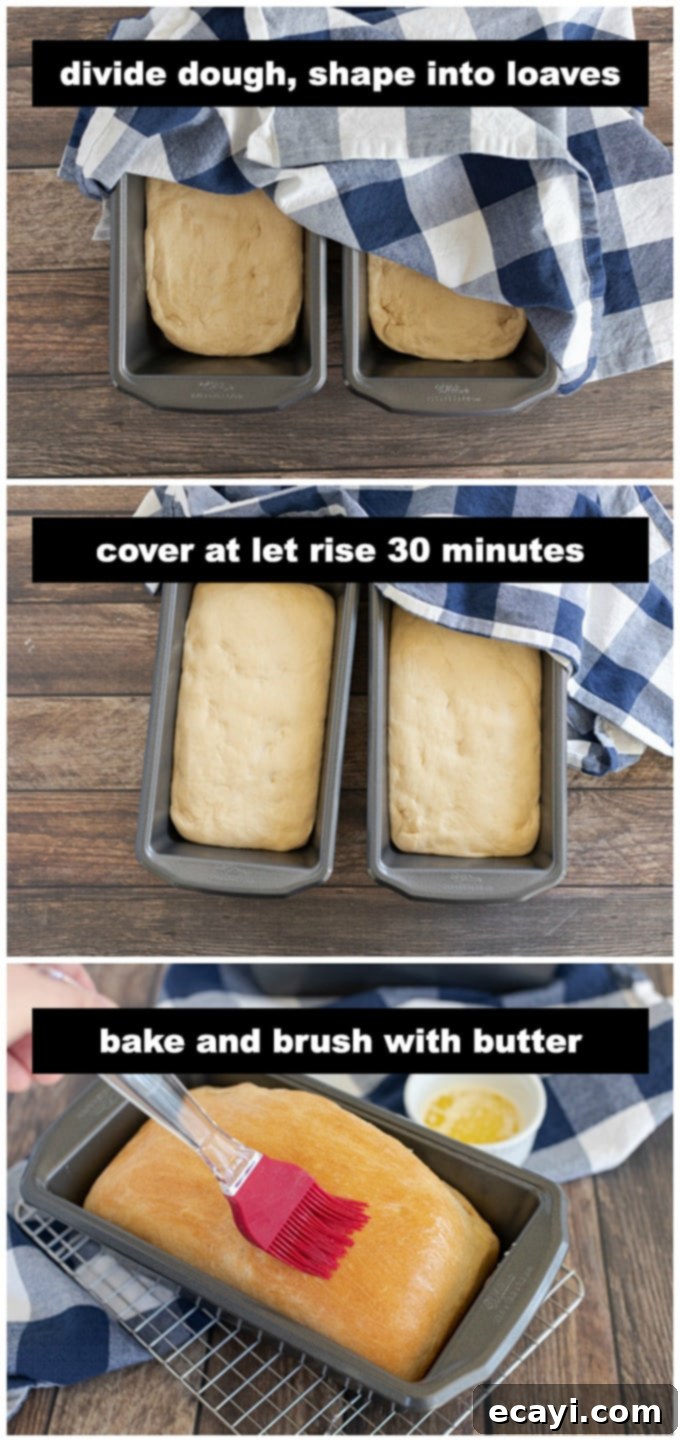 Amish Farmhouse White Loaf 6 Two shaped bread dough loaves resting in greased loaf pans, covered and rising.