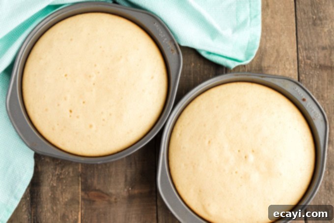 Timeless White Cake 5 two round cake pans with baked white cake
