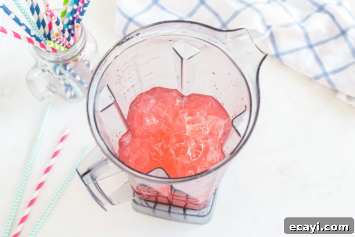 Kitchen Crafted Slush Floats 6 Ice cubes filling the blender, ready for blending into a slushie.