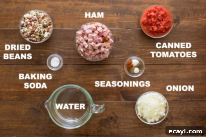 Hearty & Easy Ham and Bean Soup: The Ultimate Leftover Ham Recipe Labeled illustration of ham and bean soup ingredients, including dried beans, ham, onion, and spices.