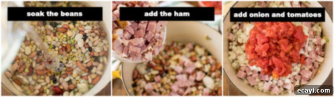 Hearty Ham and Bean Soup 2 Illustrated steps showing beans soaking, then adding fresh water, ham, onion, and tomatoes to the pot.