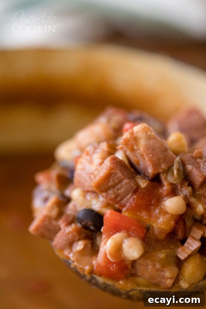 Hearty & Easy Ham and Bean Soup: The Ultimate Leftover Ham Recipe Close-up photo of a ladle full of rich ham and bean soup, highlighting the tender beans and ham pieces.