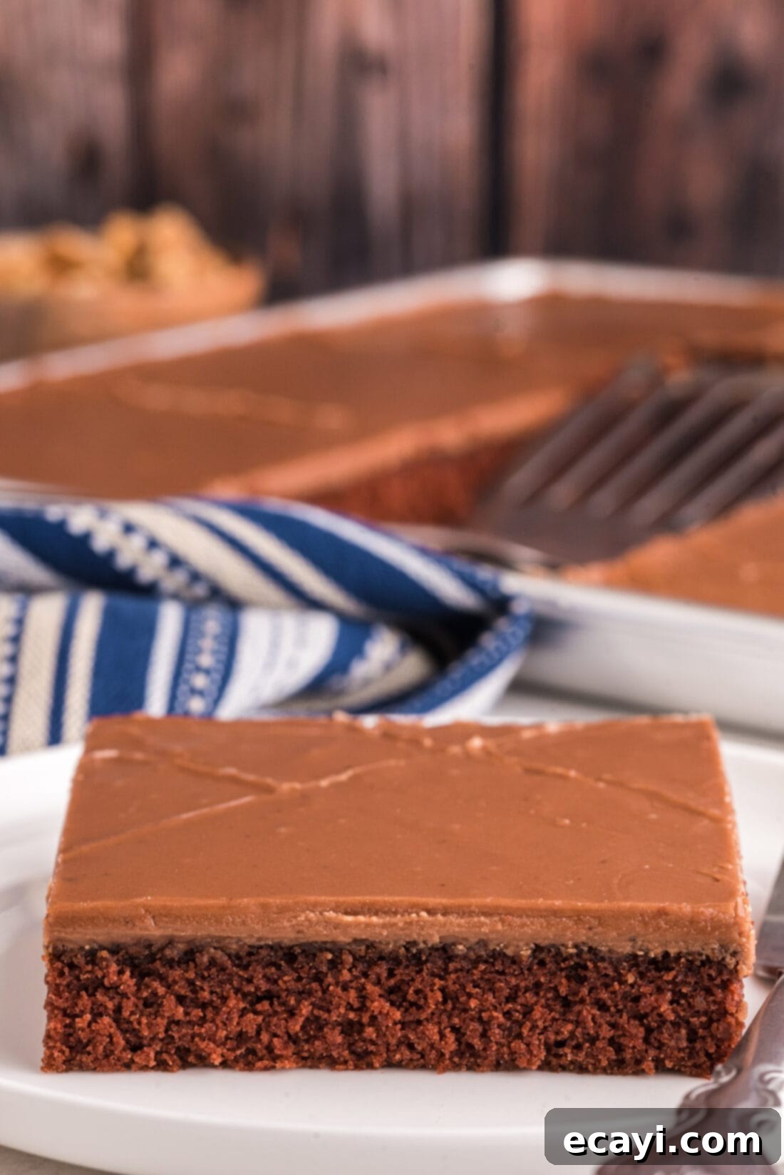 Texas-Sized Chocolate Dream 2 slice of Chocolate Texas Sheet Cake