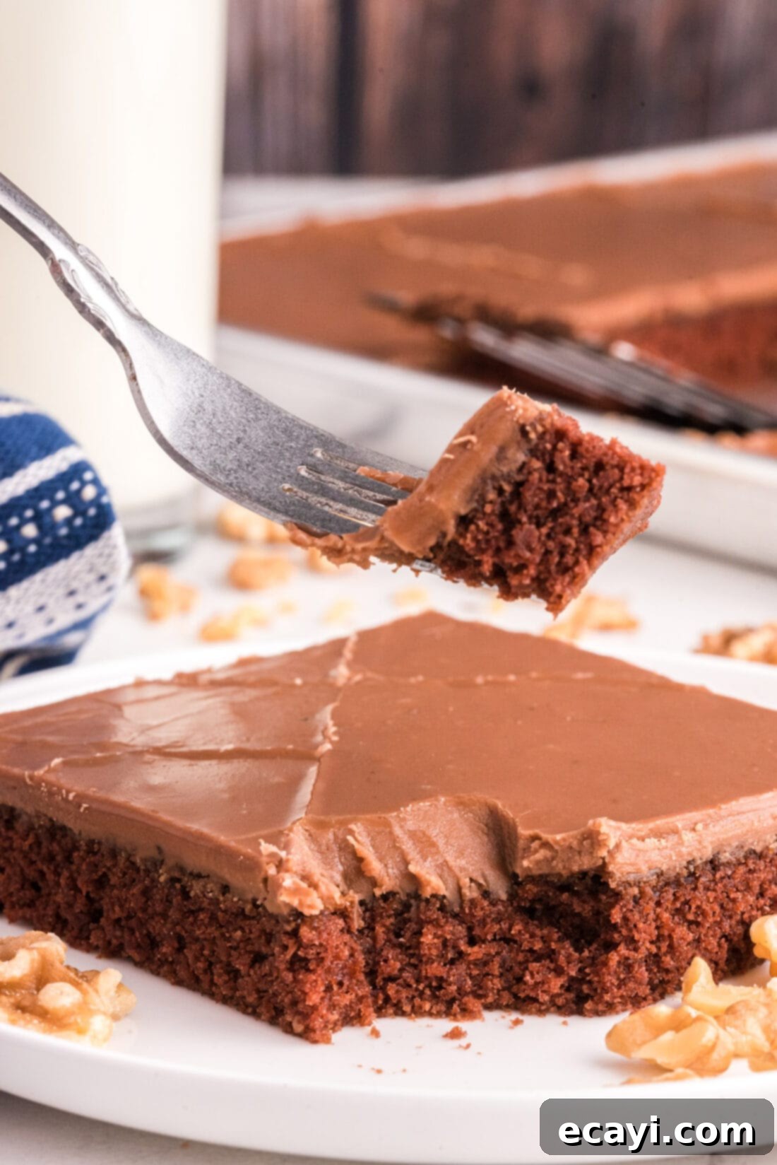 Texas-Sized Chocolate Dream 14 fork of Chocolate Texas Sheet Cake