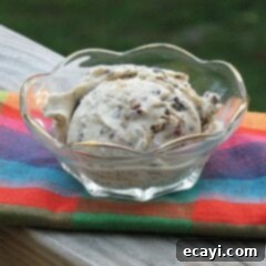 Nutty Caramel Chocolate Indulgence 2 A photo of a bowl of caramel chocolate nut ice cream.