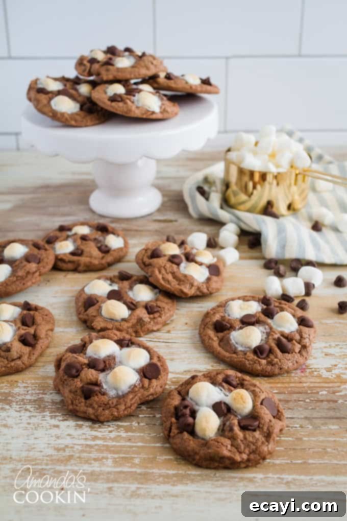 Decadent Mississippi Mud Cookies 3 Mississippi Mud Cookies Recipe
