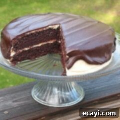 Double Peanut Butter Chocolate Cake 2 A photo of a chocolate cake with peanut butter frosting and chocolate peanut butter topping resting on a cake stand with a slice removed.