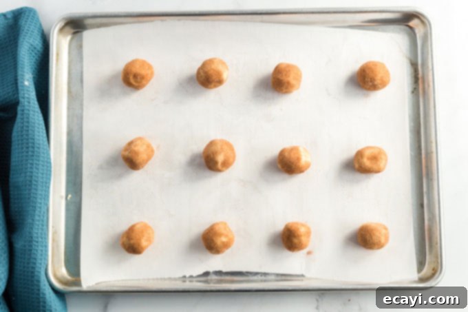 Classic Snickerdoodles 9 snickerdoodle cookie dough balls, coated in cinnamon sugar, neatly arranged and spaced out on a baking sheet before going into the oven