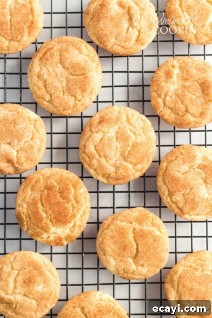 Classic Snickerdoodles 10 freshly baked snickerdoodles cooling on a wire rack, showing their characteristic crinkled tops and golden brown edges