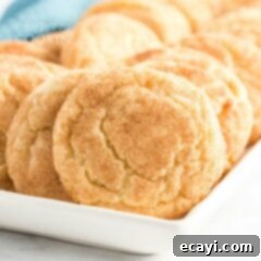 Classic Snickerdoodles 12 plate of snickerdoodles