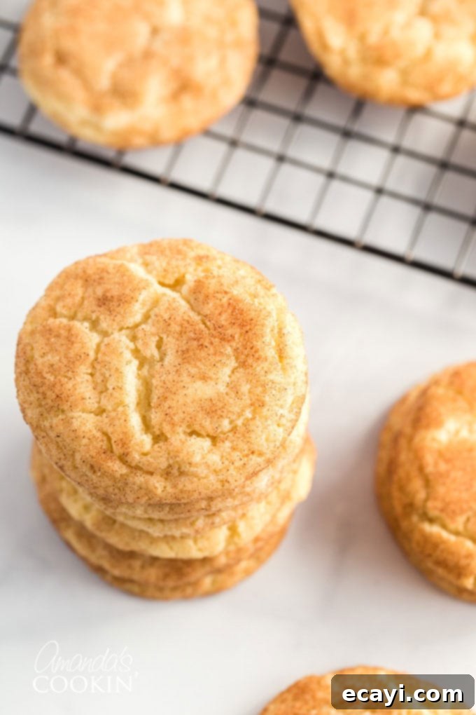 Classic Snickerdoodles 3 overhead view of a stack of snickerdoodle cookies on a white surface, showcasing their crinkled tops