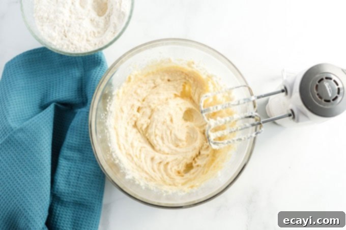 Classic Snickerdoodles 6 creamed butter, sugar, and eggs mixture in a bowl, a smooth and light yellow color, ready for dry ingredients