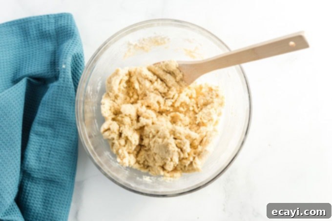 Classic Snickerdoodles 7 cookie dough coming together in a mixing bowl after dry ingredients have been added, forming a cohesive mass