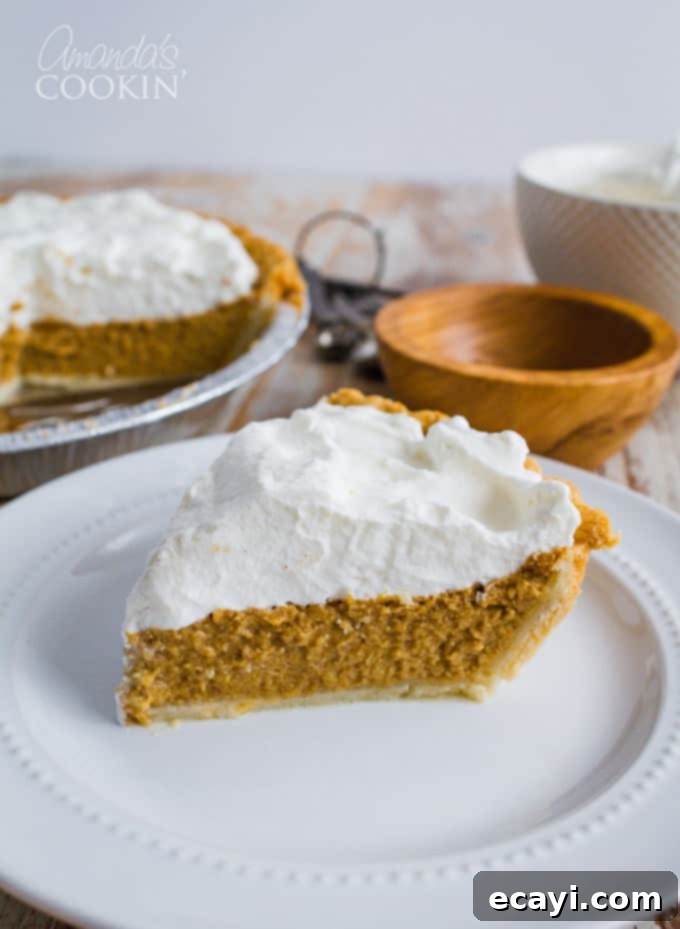 What makes a perfect pumpkin pie? The kind of pumpkin pie that a pumpkin-pie-hater will actually like! This delicious pie should grace your table this year! Perfect pumpkin pie slice, showing a creamy, golden filling and a flaky crust