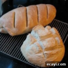 Whip Up Homemade Bread in One Hour 2 A photo of simple one hour homemade bread loaves, perfectly risen and golden, showcasing the success of the adapted recipe.