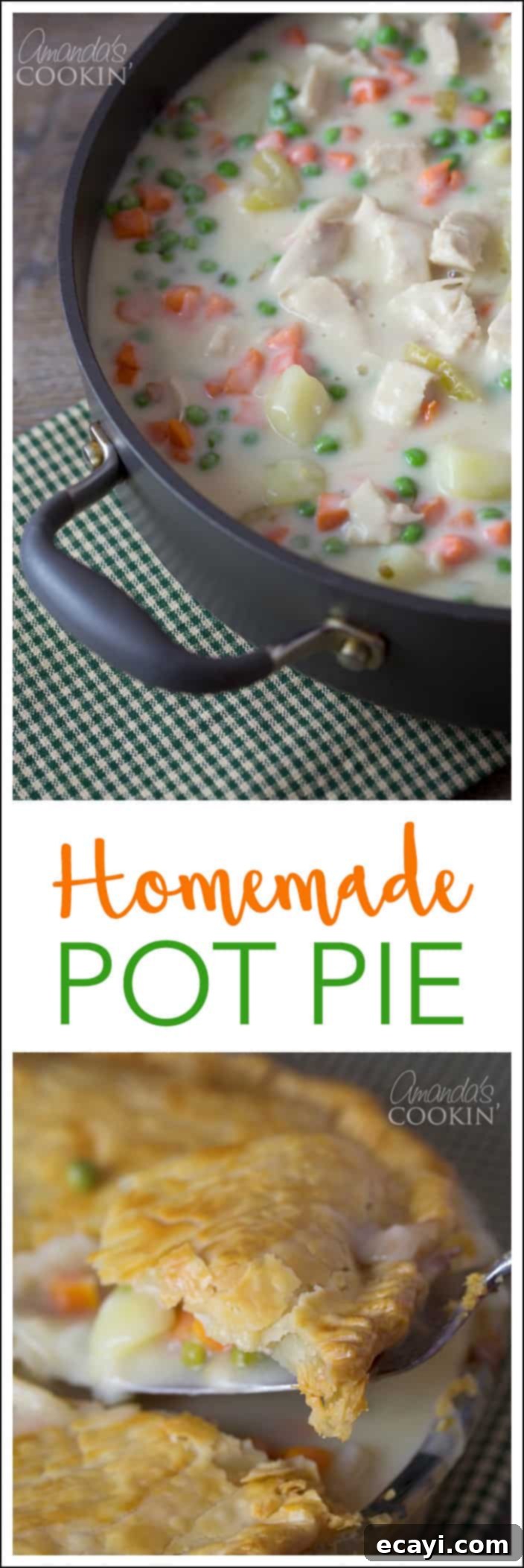 Homestyle Chicken and Turkey Pot Pie 11 Delicious Homemade Pot Pie: Chicken or Turkey, perfect for leftovers