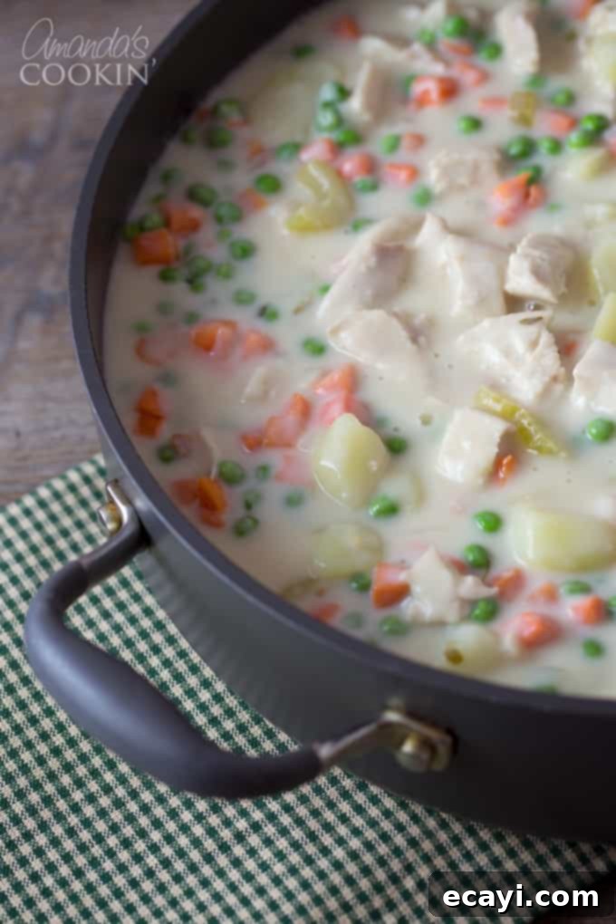 Homestyle Chicken and Turkey Pot Pie 5 Homemade pot pie - a delicious creamy gravy cooked to perfection, visible within the pie.