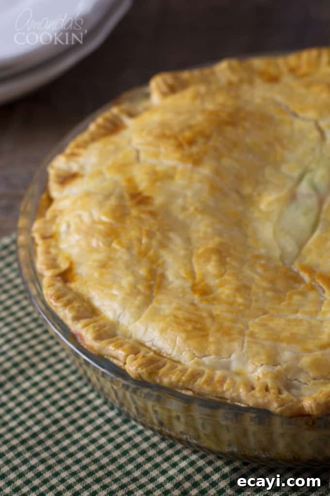 Homestyle Chicken and Turkey Pot Pie 6 Homemade pot pie - with a perfectly golden and flaky crust, fresh out of the oven!