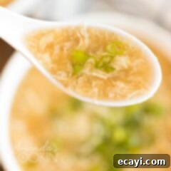 Golden Egg Flower Soup 5 spoon of egg drop soup, highlighting the silky egg ribbons and green onion garnish