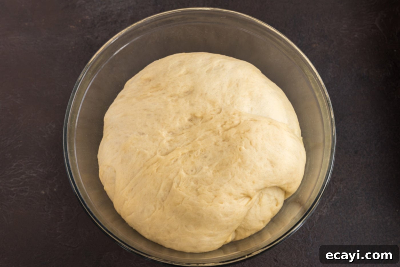 Hearty German Party Loaf 15 yeast dough after rising