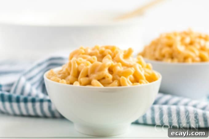 My stovetop mac and cheese recipe is easy to make, uses a homemade cheese sauce, and is perfectly creamy. Make this mac and cheese today! #macaroni #macandcheese #cheese #sides #dinnersides #lunch #pasta A perfectly portioned bowl of creamy stovetop mac and cheese, ready to be devoured.
