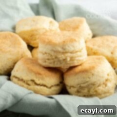 Golden Fluffy Biscuits 5 basket of homemade biscuits
